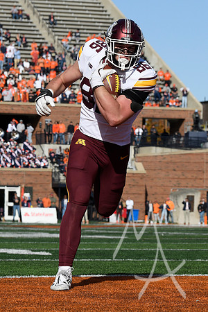 COLLEGE FOOTBALL: NOV 02 Minnesota at Illinois