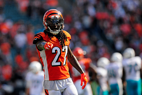 NFL: OCT 07 Dolphins at Bengals