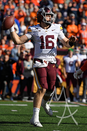 COLLEGE FOOTBALL: NOV 02 Minnesota at Illinois