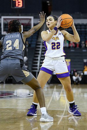 COLLEGE BASKETBALL: MAR 08 WomenÕs Ohio Valley Championship Tennessee Tech vs Lindenwood
