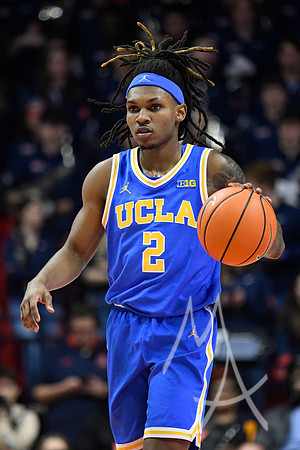 COLLEGE BASKETBALL: FEB 11 UCLA at Illinois