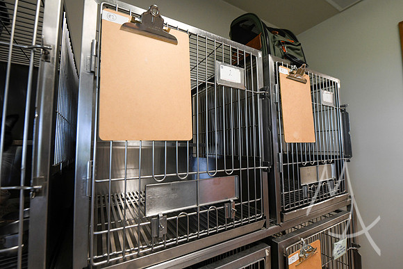CLINTON, IN - West Central Veterinary Clinic