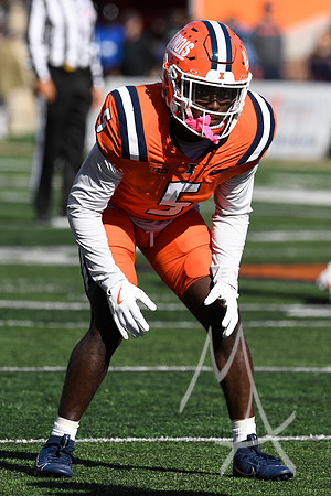COLLEGE FOOTBALL: NOV 02 Minnesota at Illinois