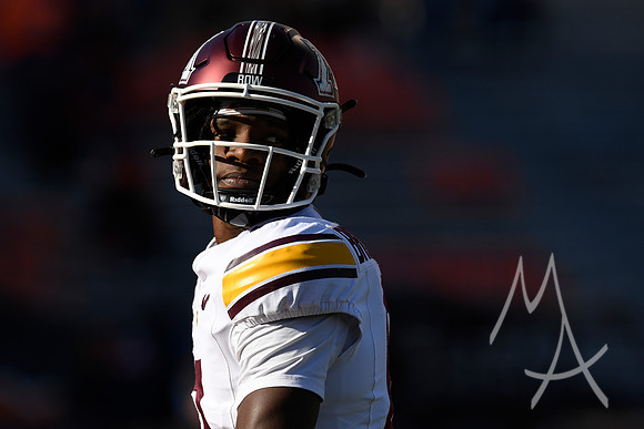 COLLEGE FOOTBALL: NOV 02 Minnesota at Illinois