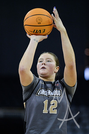 COLLEGE BASKETBALL: MAR 08 WomenÕs Ohio Valley Championship Tennessee Tech vs Lindenwood