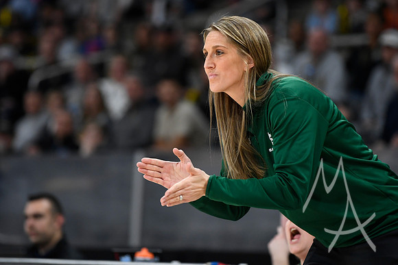 COLLEGE BASKETBALL: MAR 11 Women's Horizon League Championship Green Bay vs Fort Wayne