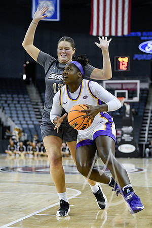COLLEGE BASKETBALL: MAR 08 WomenÕs Ohio Valley Championship Tennessee Tech vs Lindenwood