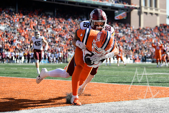 COLLEGE FOOTBALL: NOV 02 Minnesota at Illinois