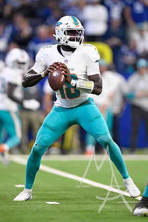 NFL: OCT 20 Dolphins at Colts