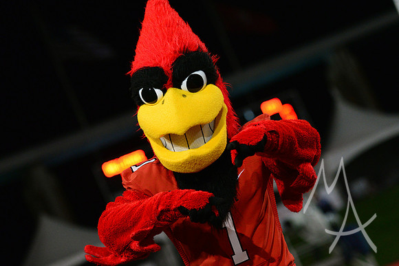 NCAA FOOTBALL: NOV 08 Eastern Michigan at Ball State