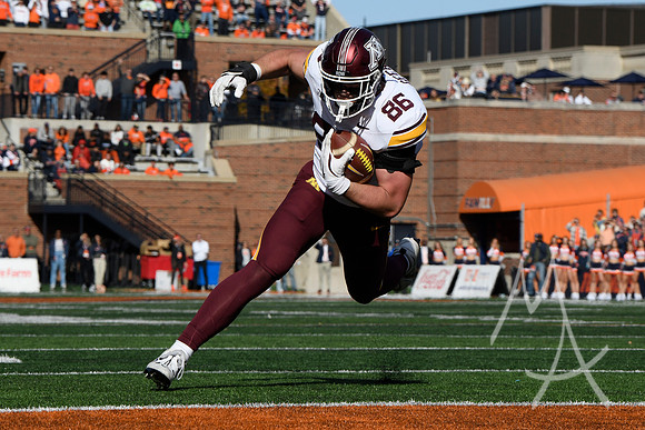 COLLEGE FOOTBALL: NOV 02 Minnesota at Illinois