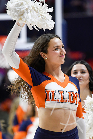 COLLEGE BASKETBALL: FEB 11 UCLA at Illinois