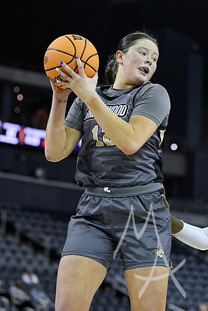 COLLEGE BASKETBALL: MAR 08 WomenÕs Ohio Valley Championship Tennessee Tech vs Lindenwood