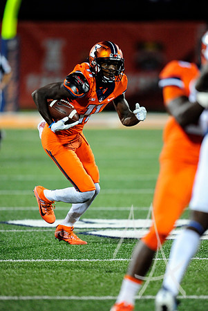 NCAA FOOTBALL: SEP 10 North Carolina at Illinois