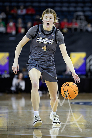 COLLEGE BASKETBALL: MAR 08 Women’s Ohio Valley Championship Tennessee Tech vs Lindenwood