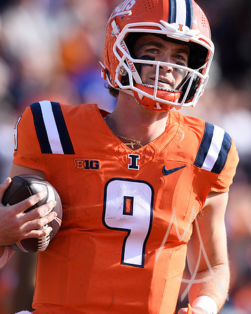 COLLEGE FOOTBALL: NOV 02 Minnesota at Illinois