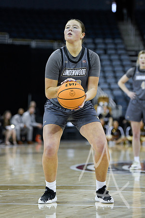 COLLEGE BASKETBALL: MAR 08 WomenÕs Ohio Valley Championship Tennessee Tech vs Lindenwood
